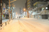 雪(2014/2/14) 大久保通り・イケメン通り